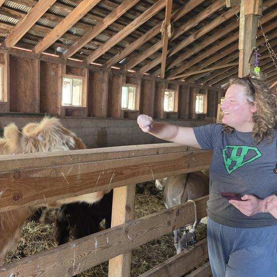 A Harvest Pack team member greeting a cow in the barn