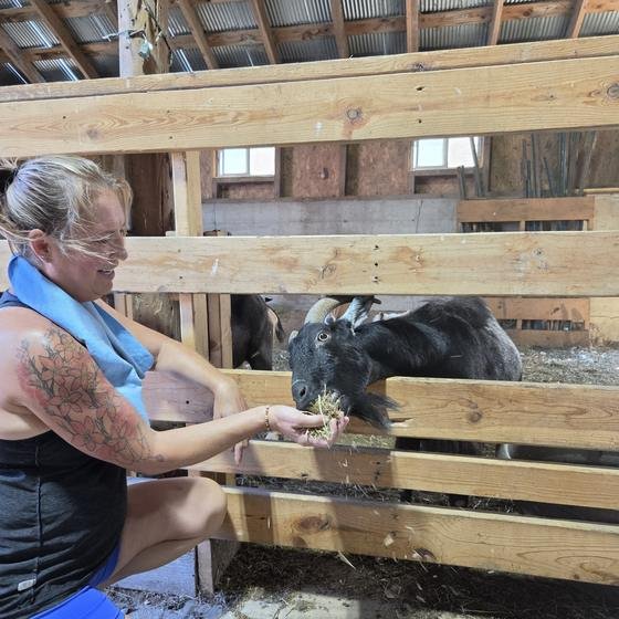 A visitor hand feeding a black goat through the fence