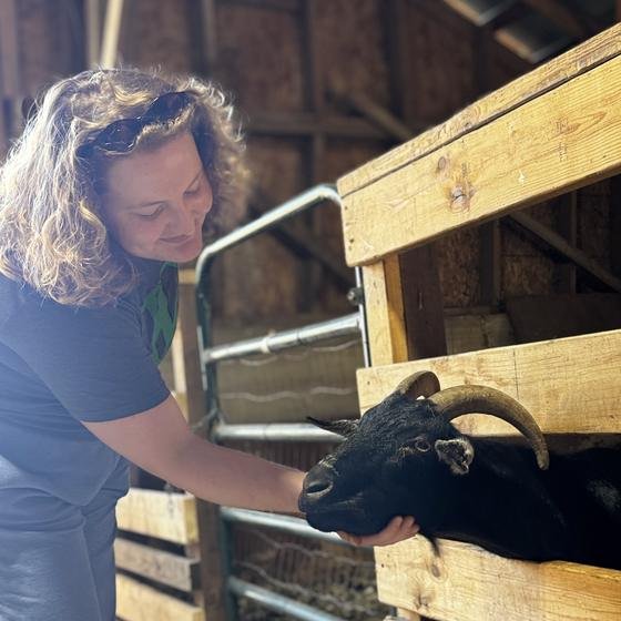 A Harvest Pack team member scratching a goat's chin